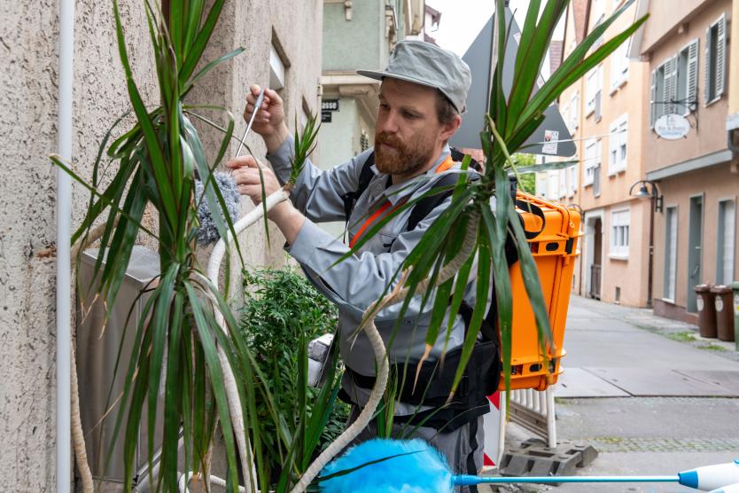 Das Bild zeigt eine Person, die in Arbeitskleidung mit orangefarbenem Equipment Pflanzen an einer Hauswand inspiziert und reinigt.