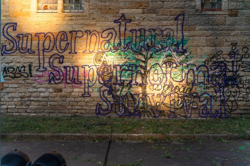 Das Bild zeigt eine Steinmauer, die mit großflächiger, bunten Graffiti-Worten beschriftet ist. Im Vordergrund ist das Wort "Supernatural Survival" mehrfach übereinander geschrieben, mit verschiedenen Farben und Linien verziert.