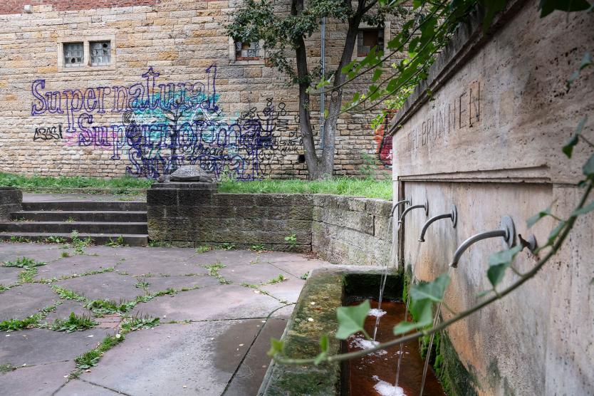 Das Bild zeigt einen Brunnen mit fließendem Wasser und der Inschrift „Veielbrunnen“ im Vordergrund. Im Hintergrund ist eine mit buntem Graffiti bemalte Steinwand mit den Worten „Supernatural Survival“.
