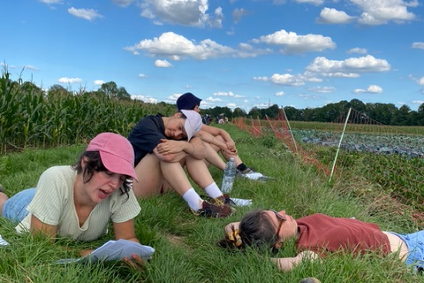 Das Bild zeigt mehrere Personen, die entspannt auf einer Wiese neben einem Feld liegen, lesen oder miteinander sprechen, während ein klarer blauer Himmel mit weißen Wolken im Hintergrund zu sehen ist.