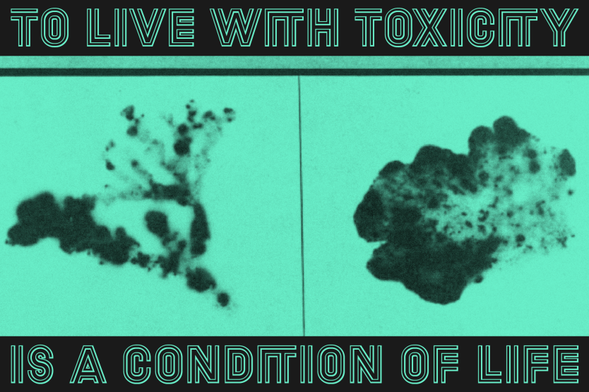 Ein türkisfarbenes Bild zeigt zwei abstrakte, dunkle Formen und den Schriftzug: „TO LIVE WITH TOXICITY IS A CONDITION OF LIFE“.