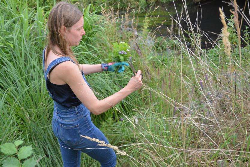 Eine Frau steht in einem dichten Grasfeld und schneidet mit einer Schere Wildpflanzen.
